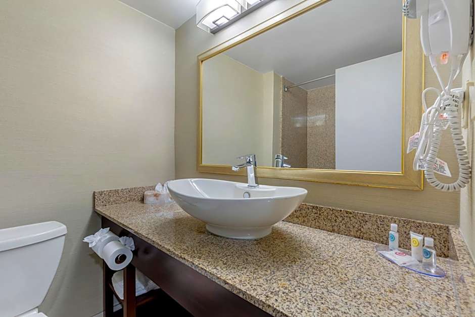 Comfort Inn Washington Dulles International