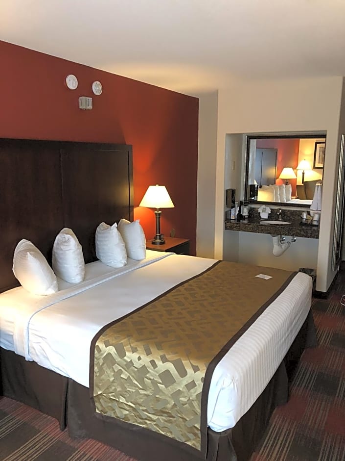 Best Western Dallas Inn And Suites