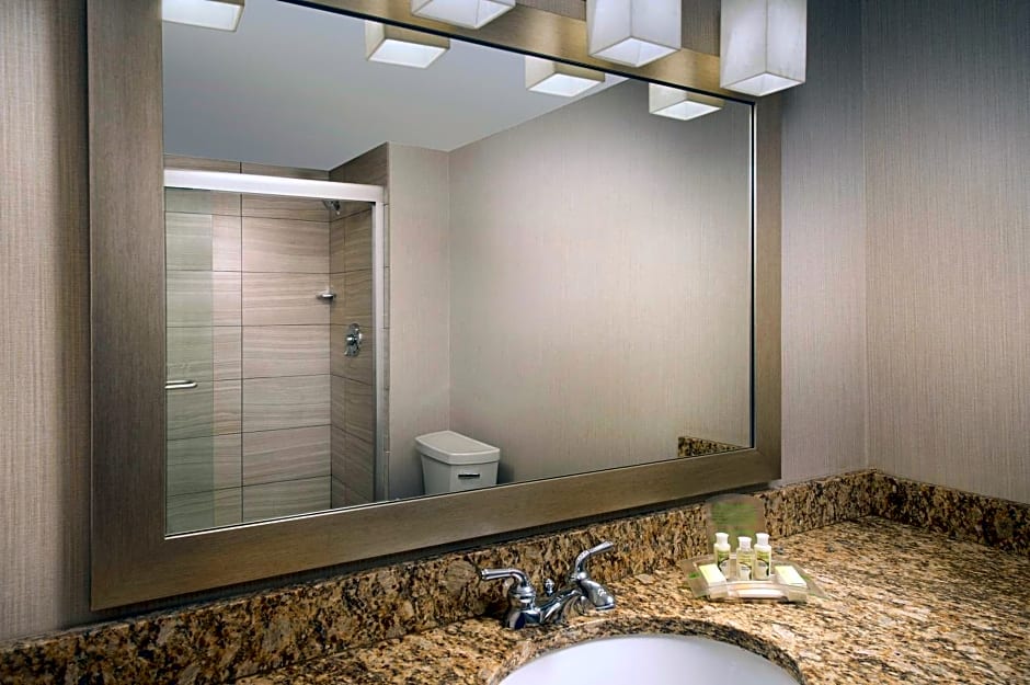 Holiday Inn El Paso Airport By IHG