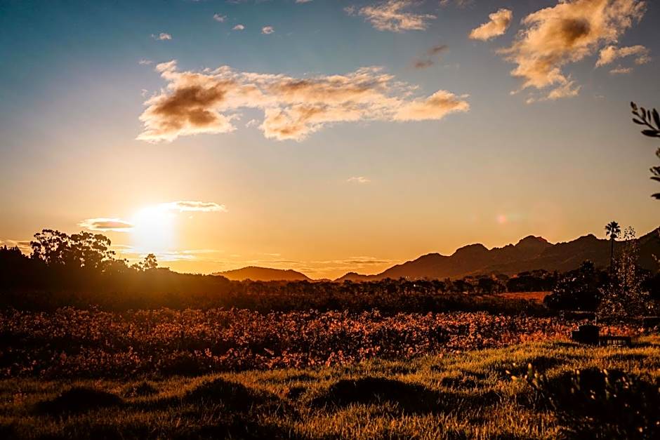 Basse Provence Country House