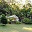 Nightcap Ridge - Byron Bay Hinterland