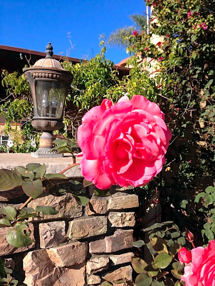 Photo 1 of 55 of Leucadia Beach Inn