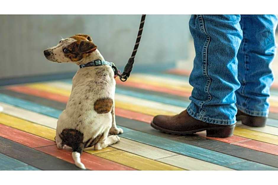 Studio 6 Lake Elsinore, CA