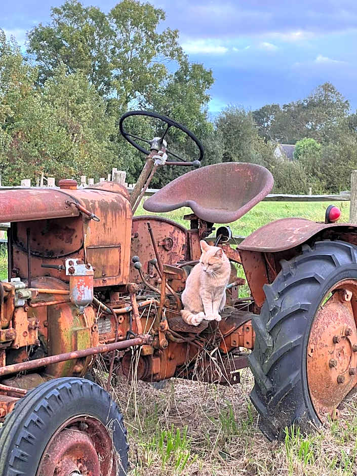Ferme Hay Day