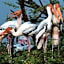 The Birder's Inn
