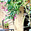 Club Hotel Barbarossa