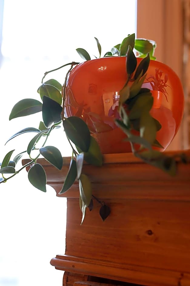 BudapeStayz - Raday Rooms