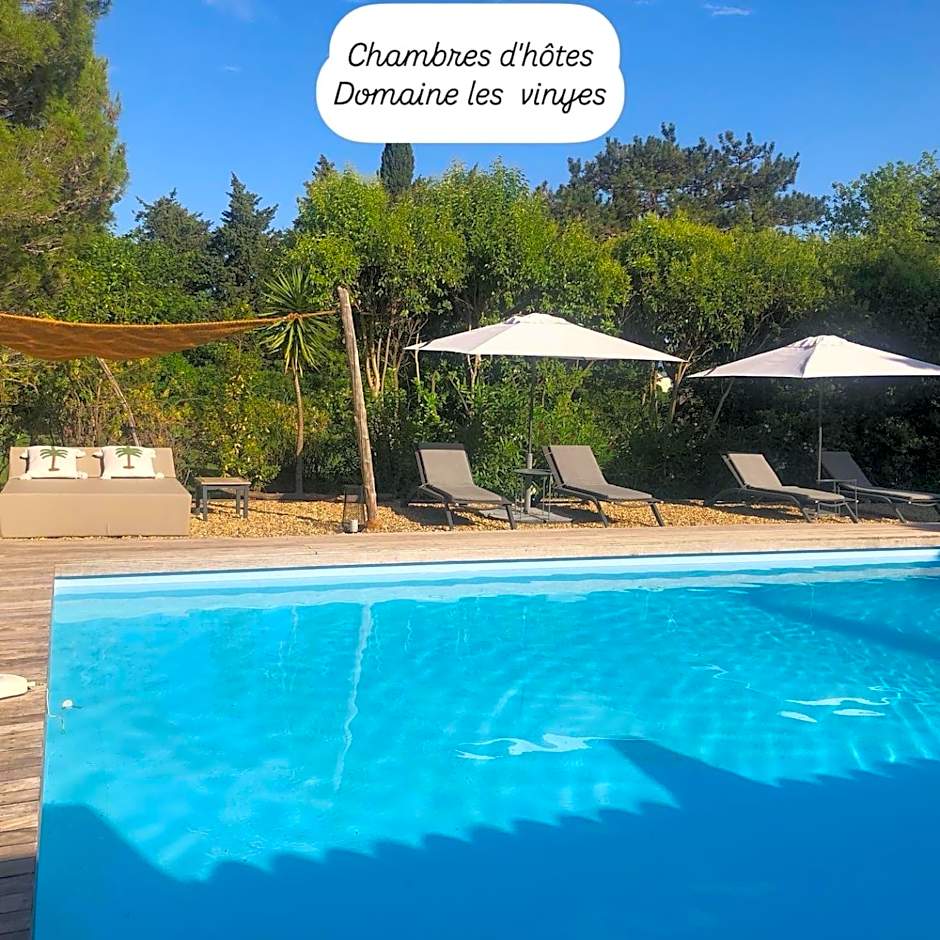 DOMAINE LES VINYES
