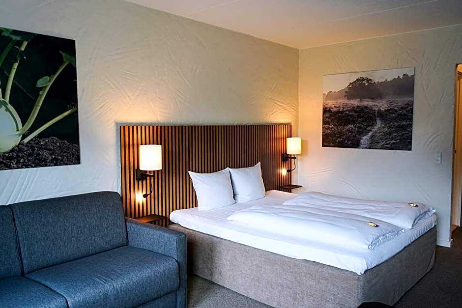 Photo 1 of 5 of Superior 1 King Bed with Sofabed