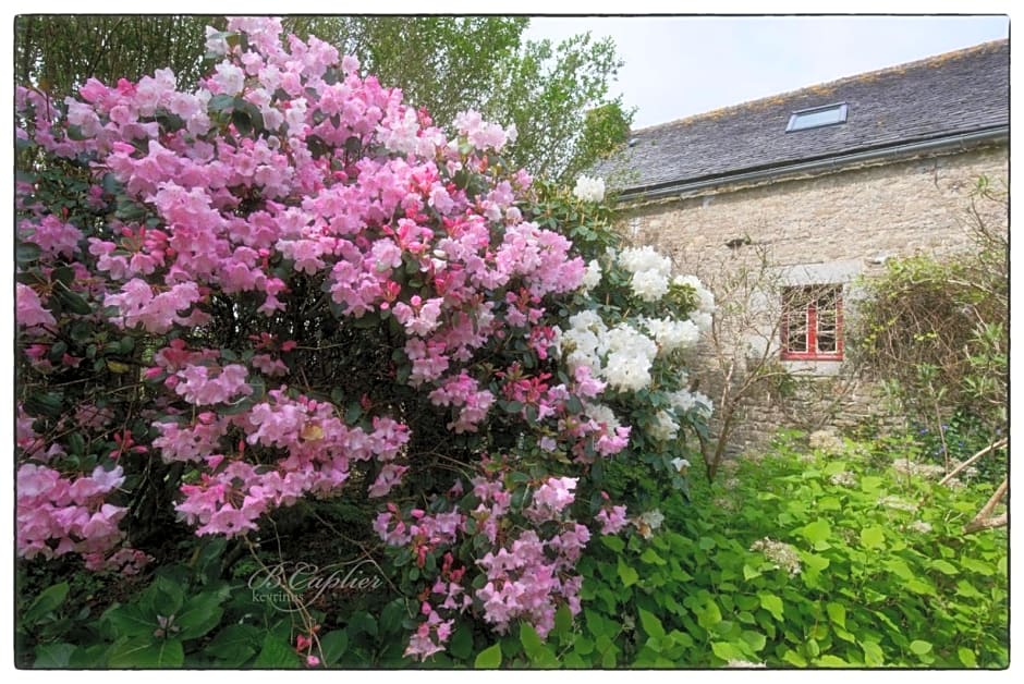 Manoir Pors Braz B&B