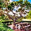 Caves House Hotel & Apartments Yallingup