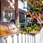 Duval Inn - Key West