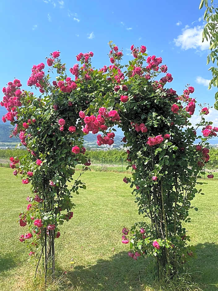 Landgasthof Bogner by SMK Event und Gastro