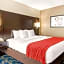 Comfort Inn & Suites Near Universal Orlando Resort-Convention Ctr