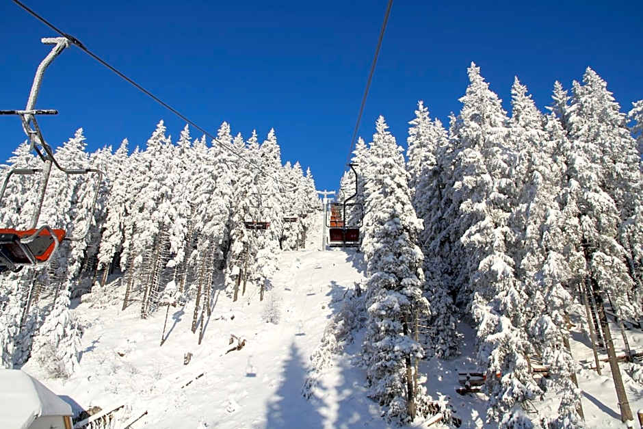 Wellness Hotel Montis