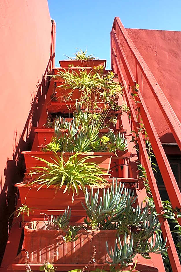 Casa Antiquary - Albergue Turístico