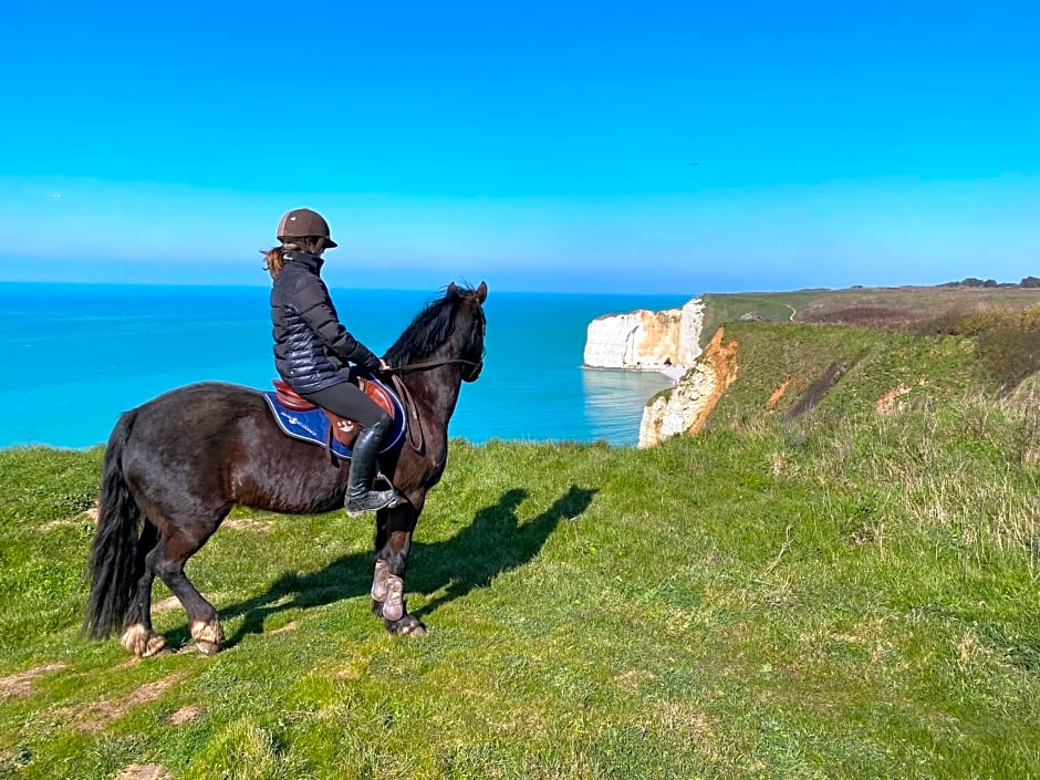 Domaine Equestre Etretat