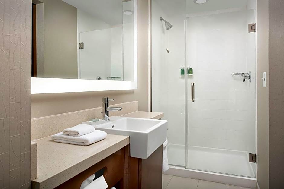 SpringHill Suites by Marriott Huntsville West/Research Park