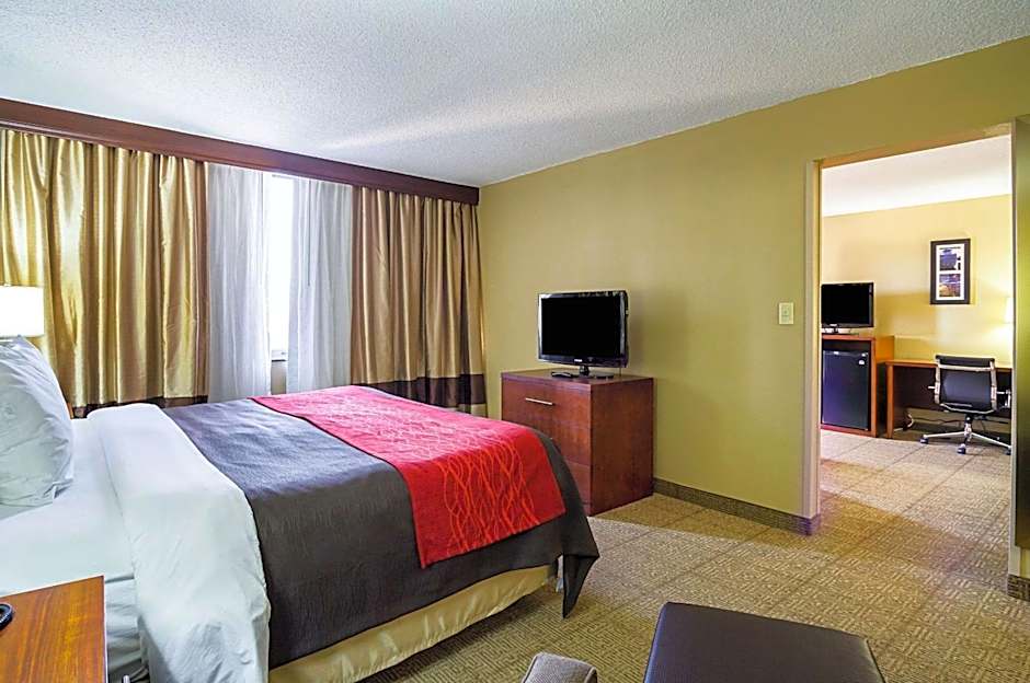 Comfort Inn Downtown