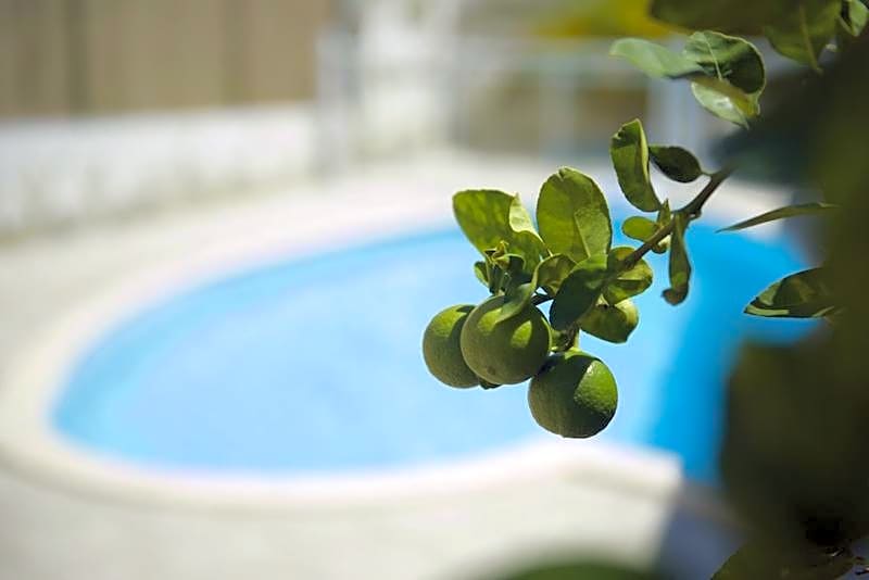 Village de la Princesse