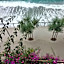 La Bouganville Beatiful Sea view