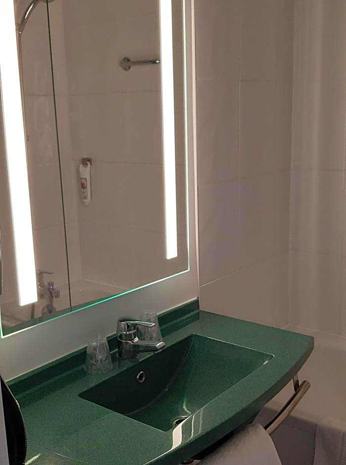 Ibis Arles