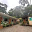 Casitas Jungla