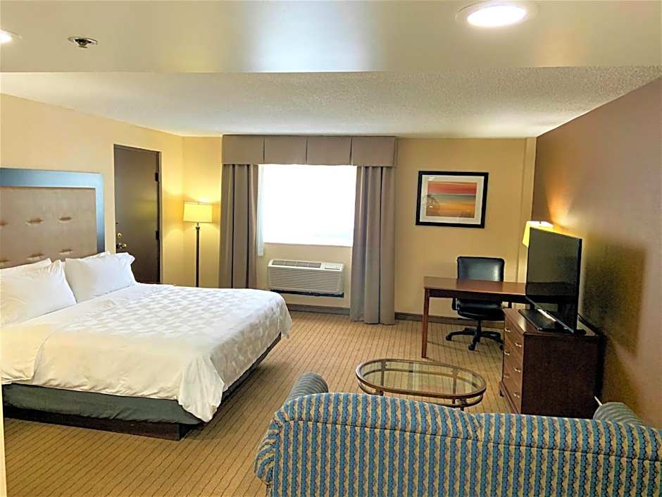 Holiday Inn & Suites Chicago-Carol Stream (Wheaton) By IHG