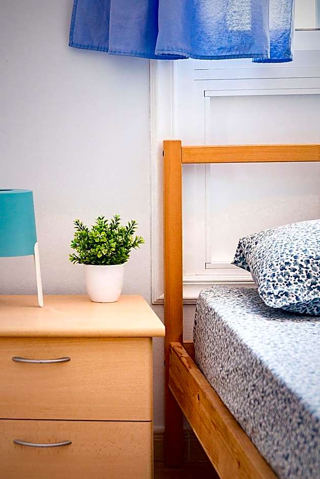 Aloe Vera Shared House