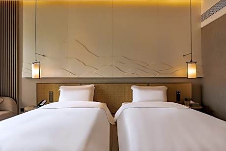 Superior Double Room with City View