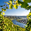 WohnGut Koblenz