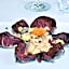 Locanda Grego