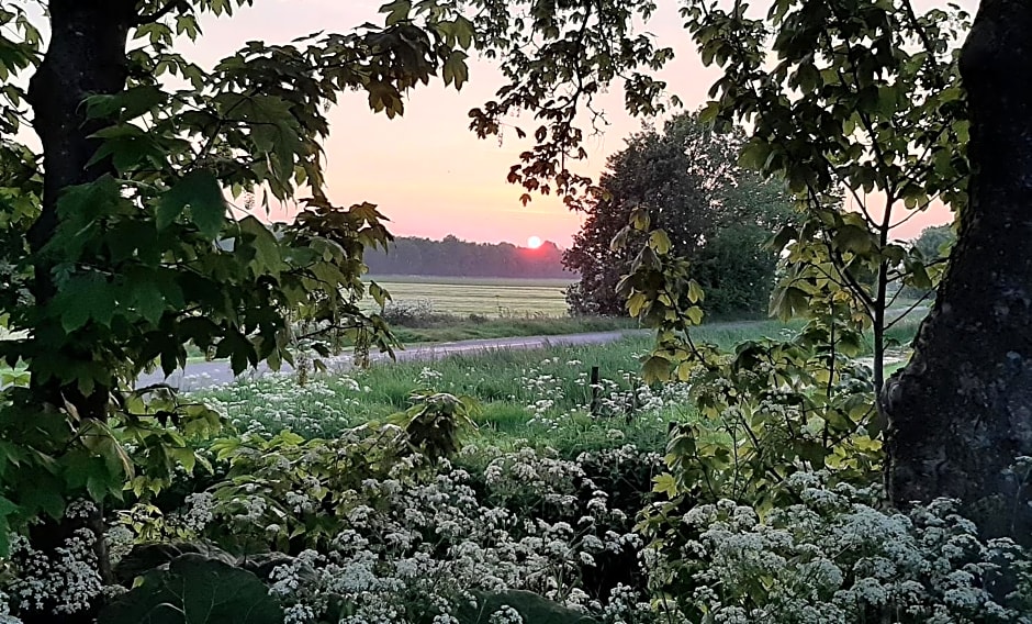 Het Bijenweitje - The Little Bee Meadow