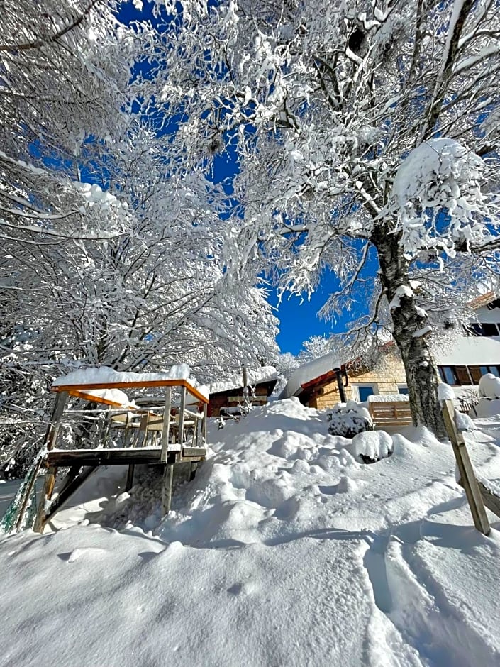 Jungholz Chalet 65
