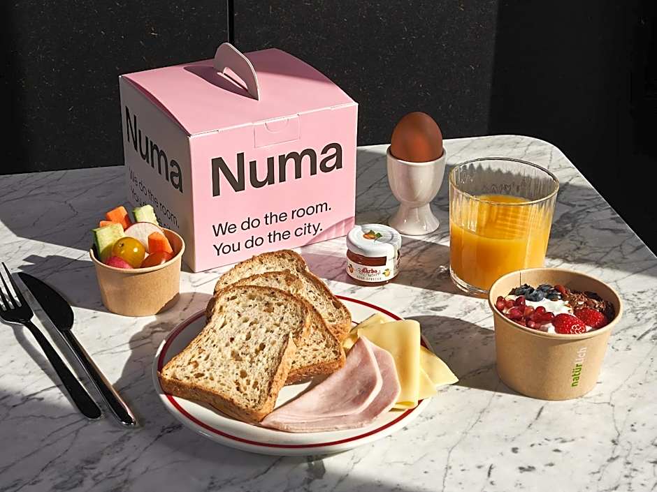 Numa Berlin Boxer