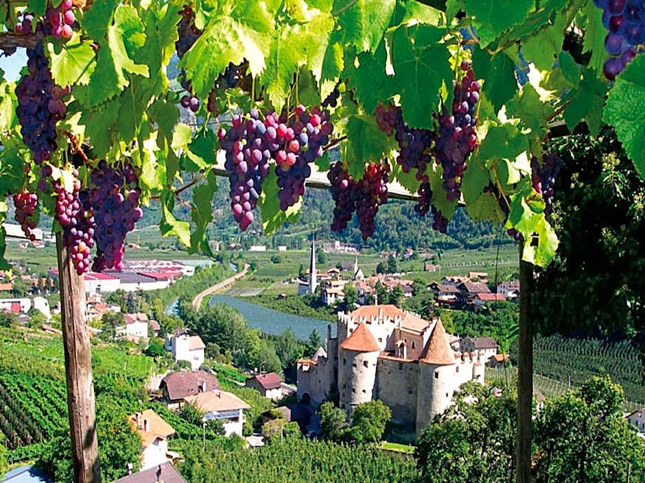 Pension Apartments Pardell