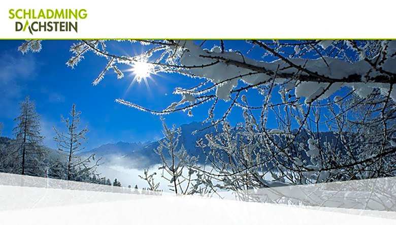 Hotel Vitaler Landauerhof