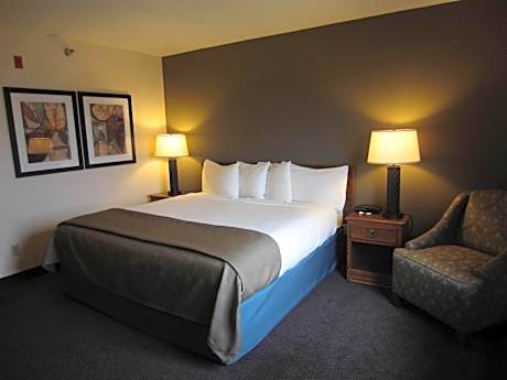 King Room - Non-Smoking