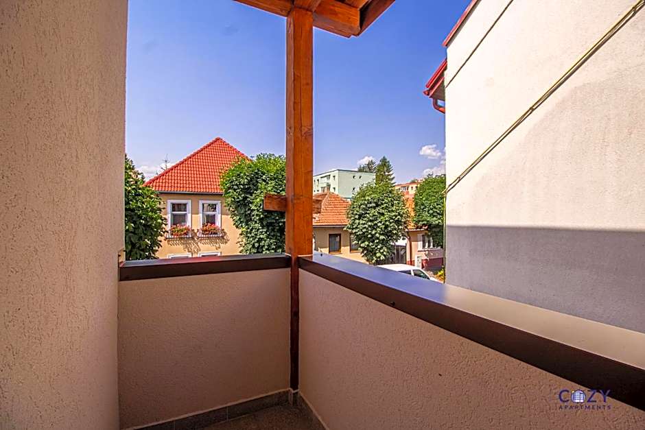 Unique and Cozy ApartHotel in Brasov