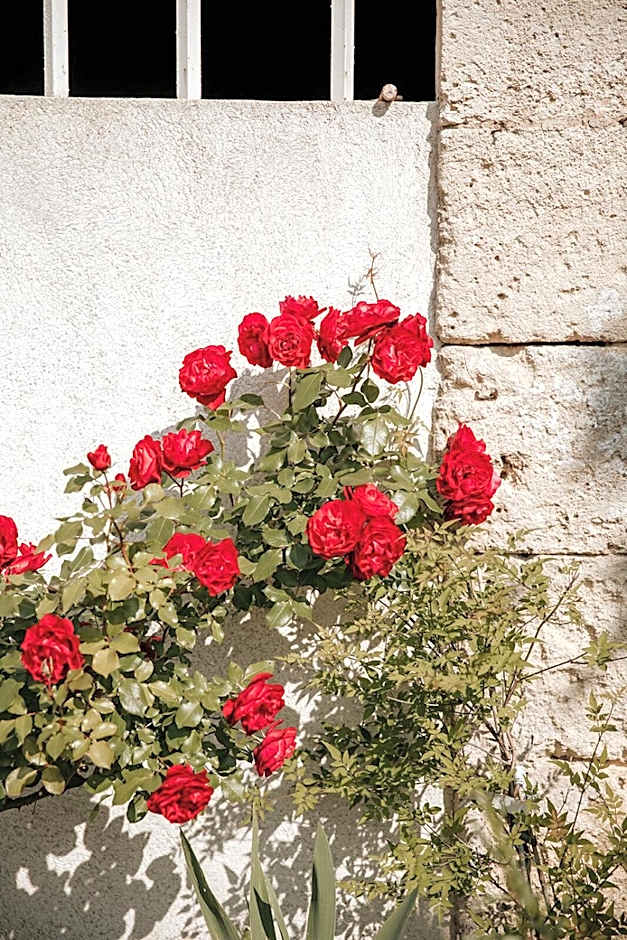 Château La Grande Clotte