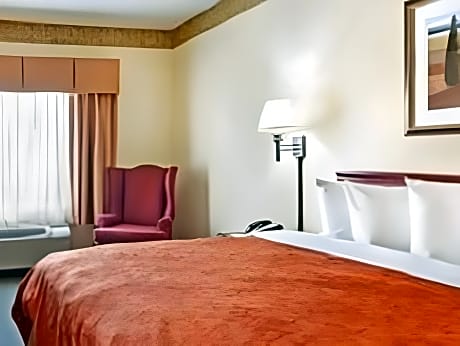 1 Bedroom King Suite