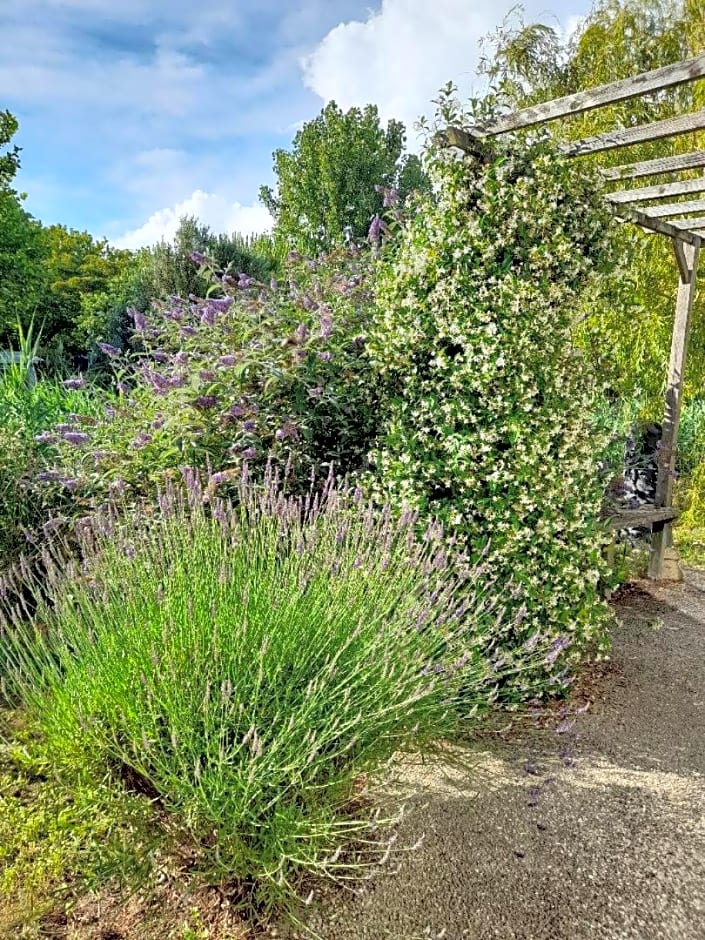 Merlettes des Sables