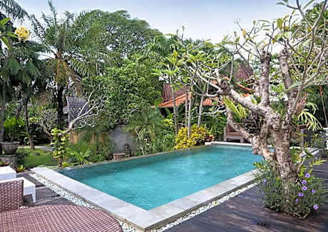 One-Bedroom Villa