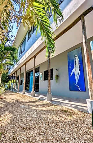 The Blue Eco Lodge