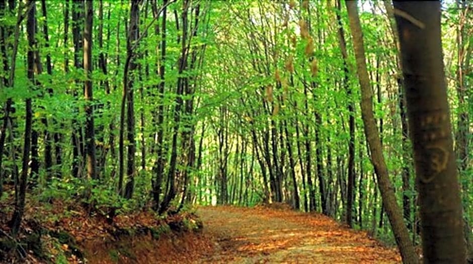 Park Polonezkoy Hotel