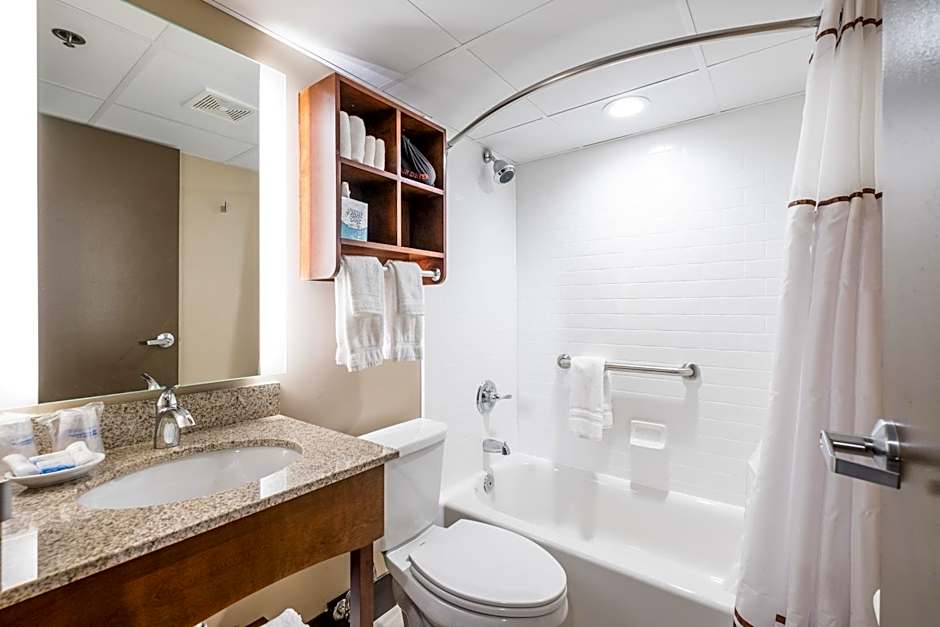 Radisson Hotel St Paul Downtown