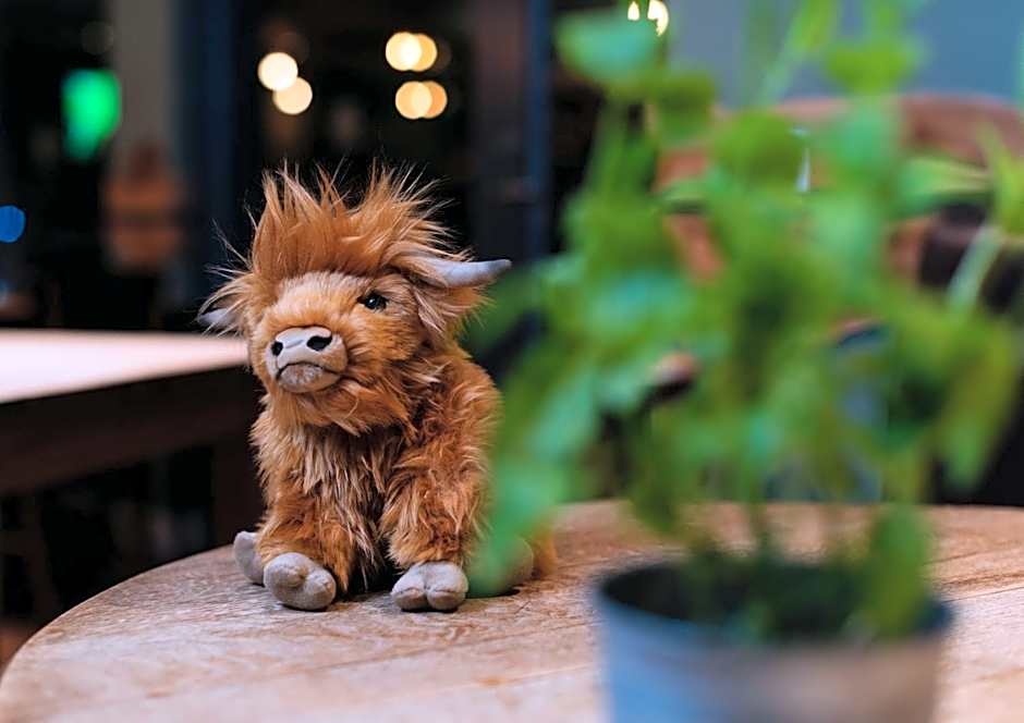 Ben Cruachan Inn - Restaurant, Pub with Rooms