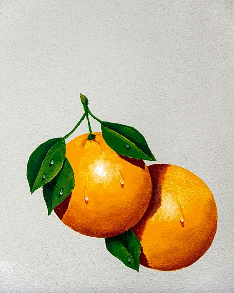 Candlewood Suites Safety Harbor By IHG