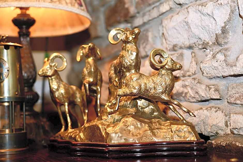 The Dog and Partridge