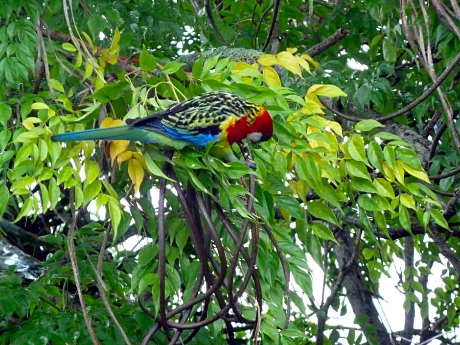 Peace and Plenty Inn